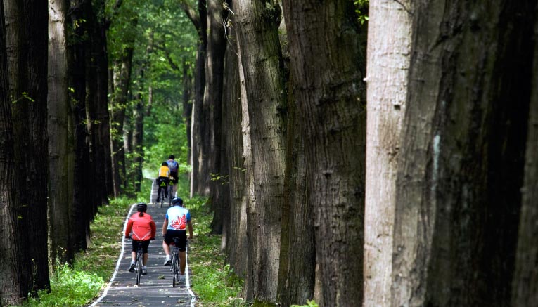 Bnbi-holland-belgium-biking-2